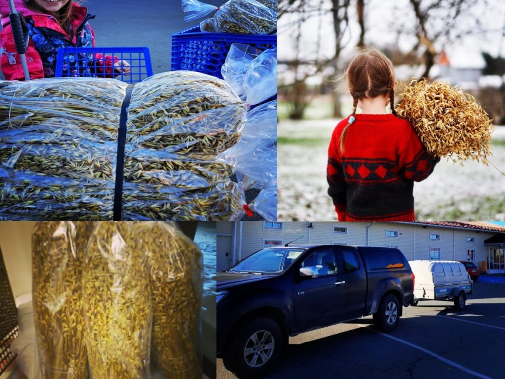 Kauralyhde kauppoihin